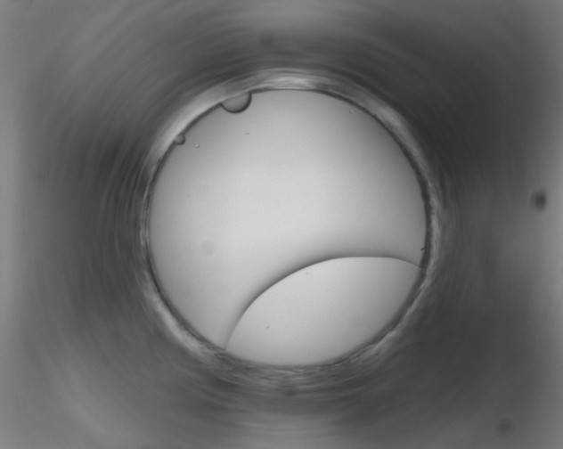 X0000116791194200912181047