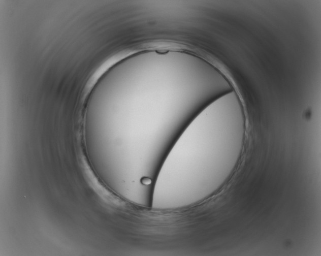 X0000116791195200912181047