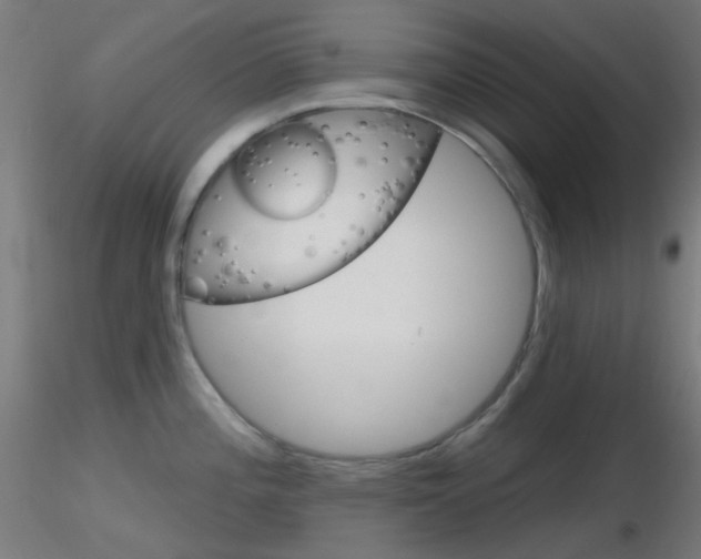 X0000116791196200912181047