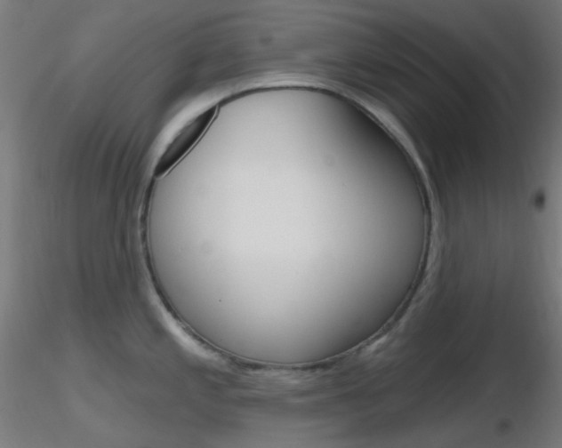 X0000116791197200912181047