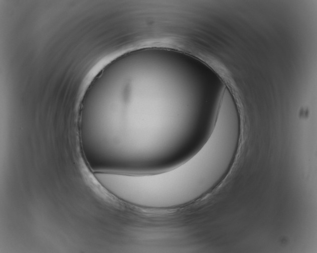 X0000116791200200912181047
