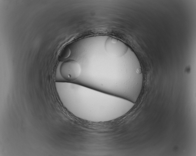 X0000116791201200912181046