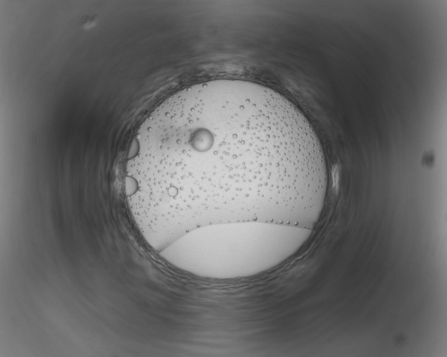 X0000116791203200912181046