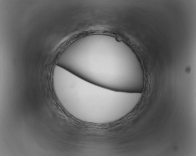 X0000116791206200912181046