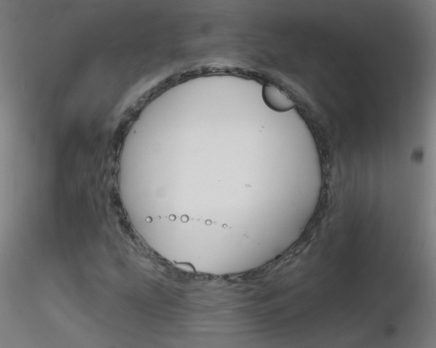 X0000116791207200912181046