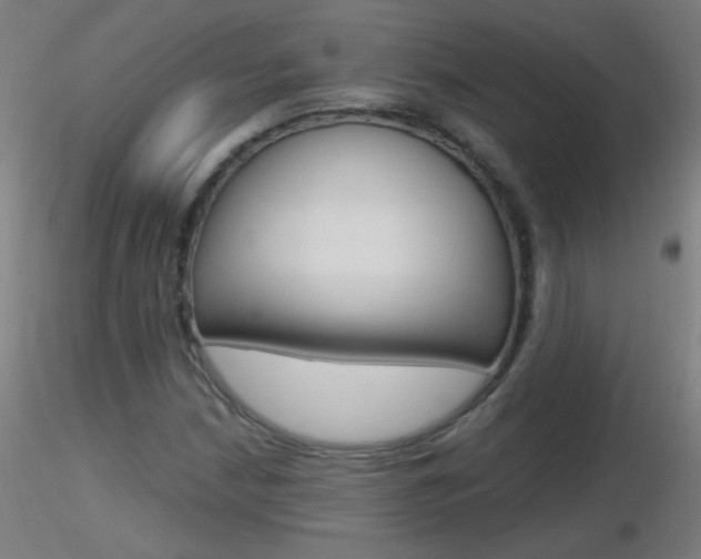 X0000116791210200912181046