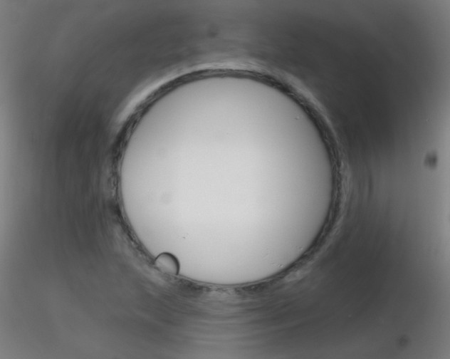 X0000116791215200912181046