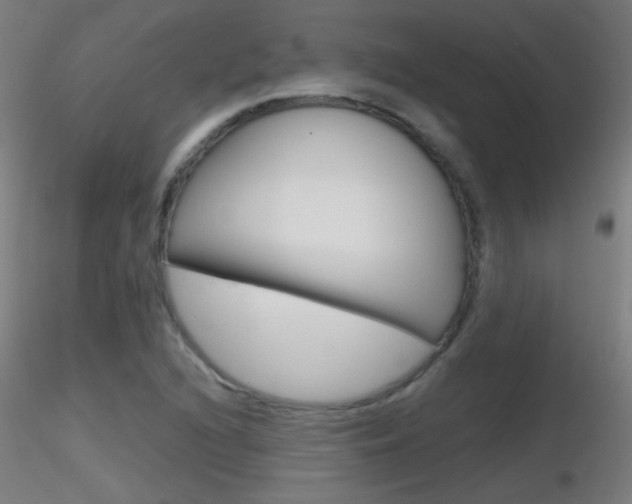 X0000116791216200912181046
