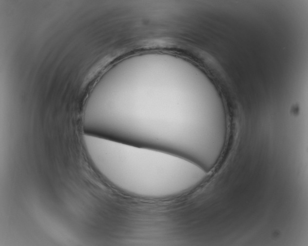 X0000116791217200912181046