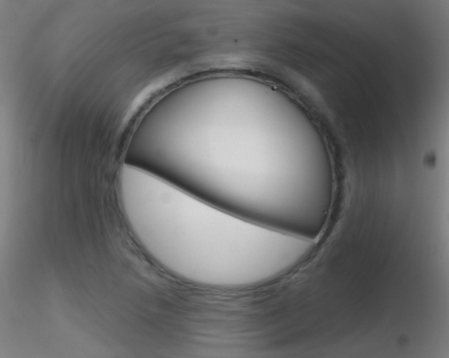 X0000116791218200912181046