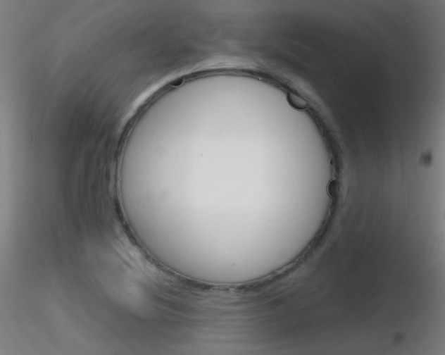 X0000116791220200912181046