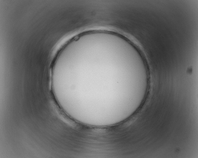 X0000116791223200912181046