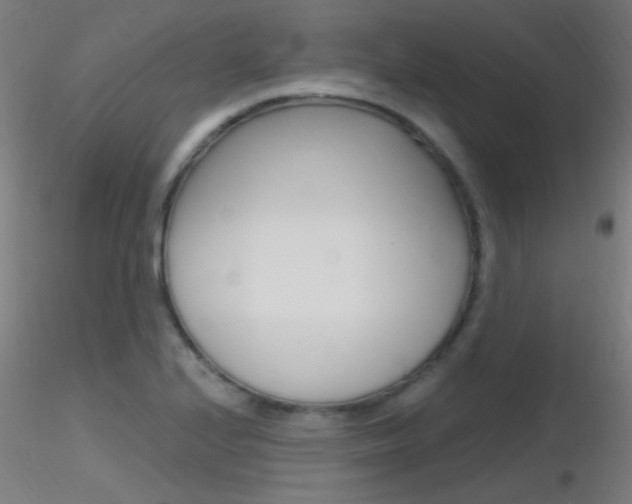 X0000116791224200912181046
