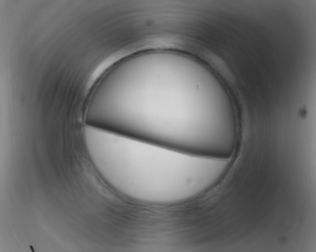 X0000116791226200912181046