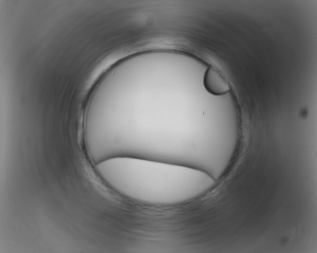 X0000116791227200912181046