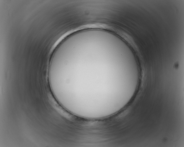 X0000116791228200912181046