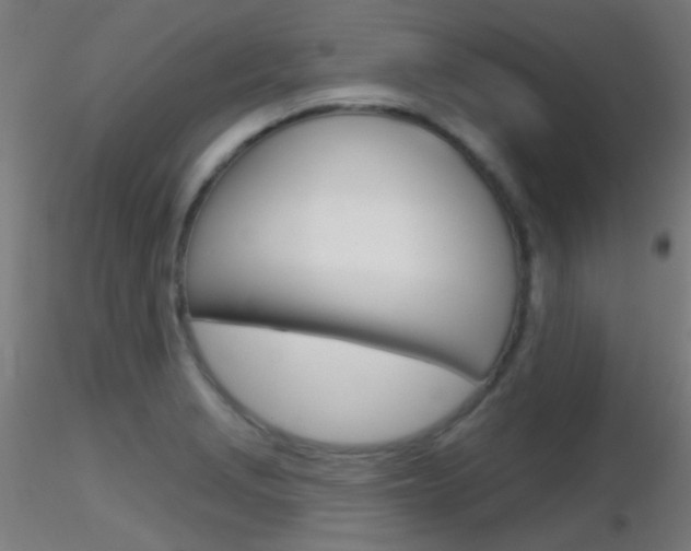 X0000116791229200912181046