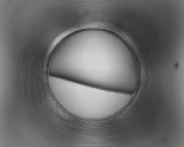X0000116791230200912181046