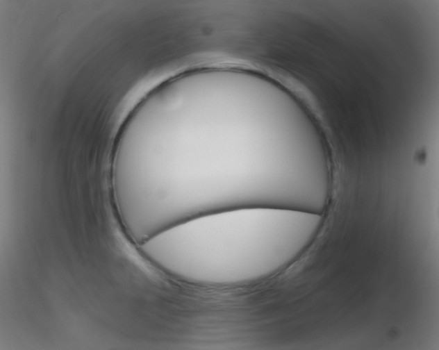 X0000116791231200912181046