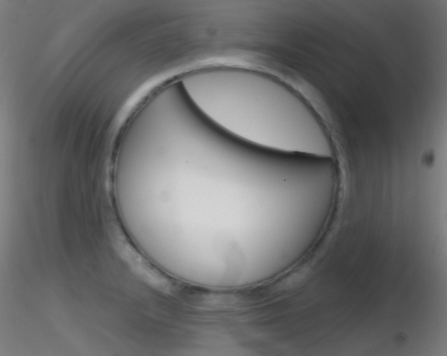 X0000116791232200912181046