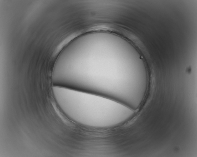 X0000116791233200912181046