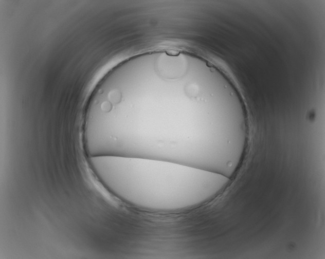 X0000116791235200912181046