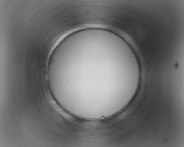 X0000116791236200912181046