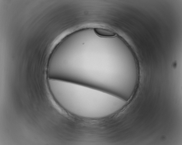 X0000116791237200912181046