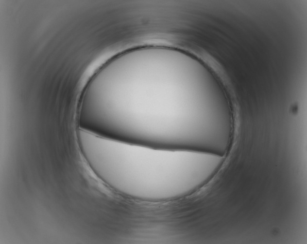 X0000116791240200912181046