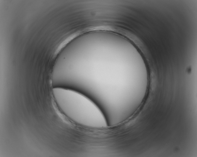 X0000116791241200912181046