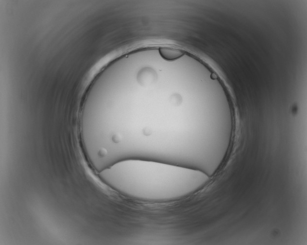 X0000116791245200912181046