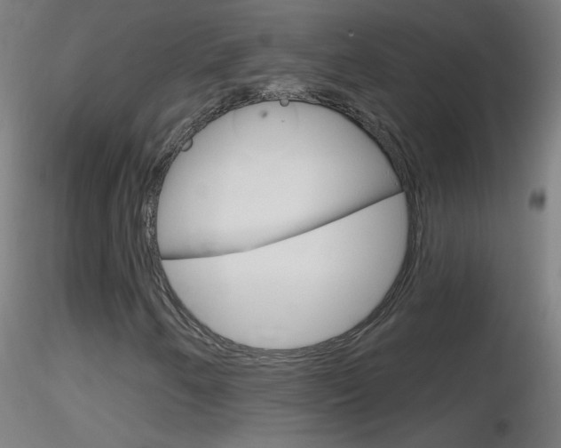 X0000116791250200912181046
