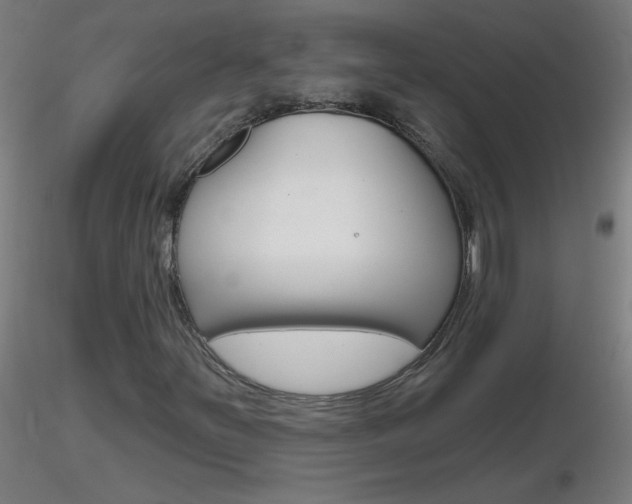 X0000116791251200912181046