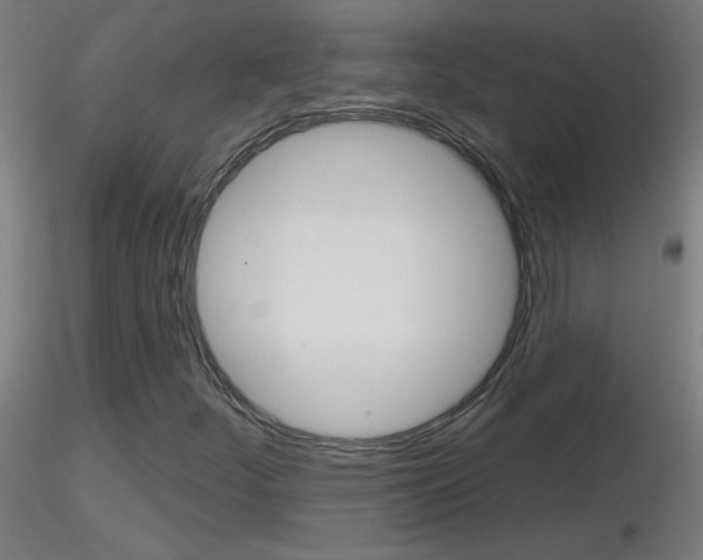 X0000116791252200912181046