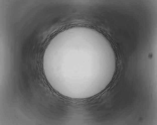 X0000116791253200912181046