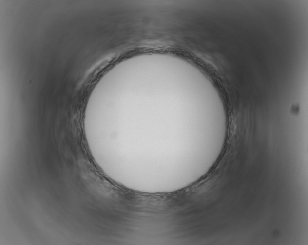X0000116791254200912181046