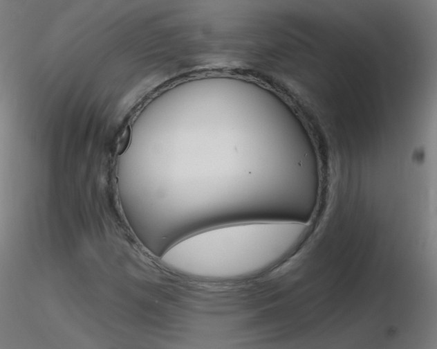 X0000116791257200912181046