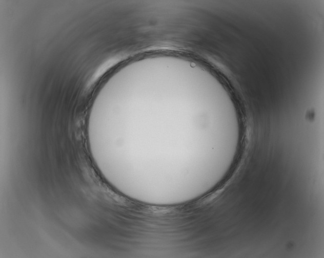 X0000116791258200912181046
