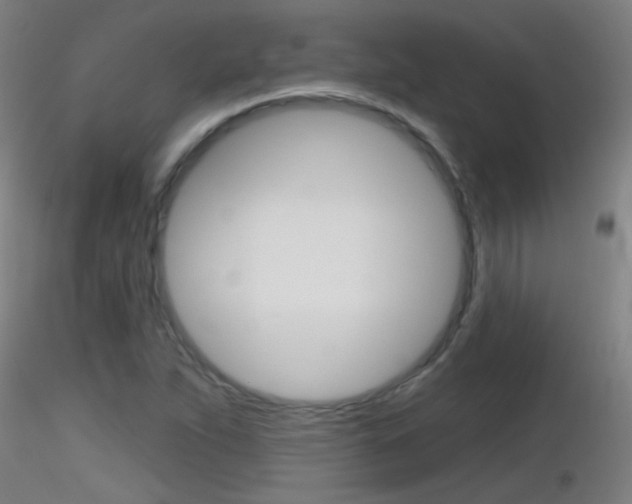 X0000116791263200912181045