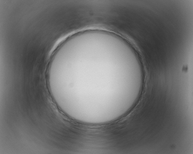 X0000116791264200912181045
