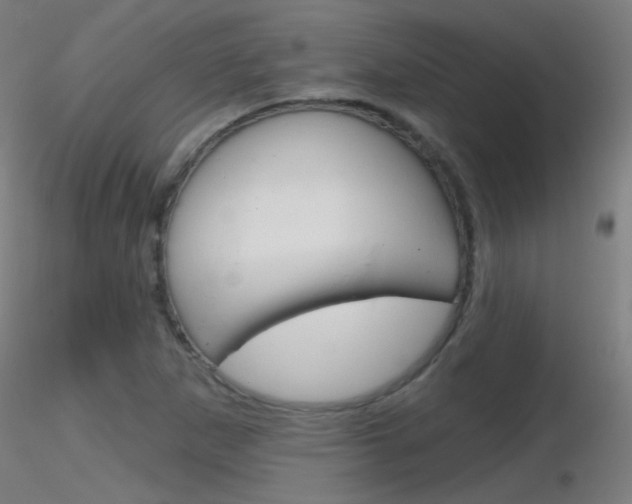 X0000116791265200912181045
