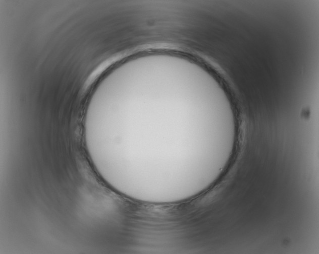 X0000116791266200912181045
