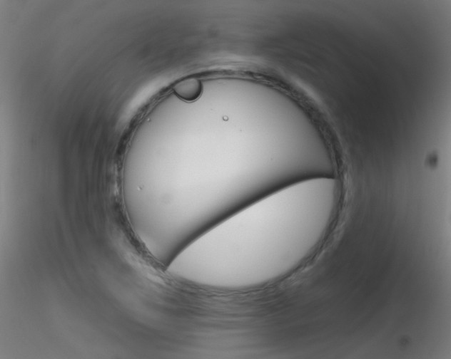 X0000116791267200912181045