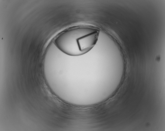 X0000116791268200912181045