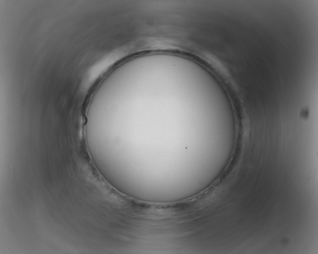 X0000116791269200912181045