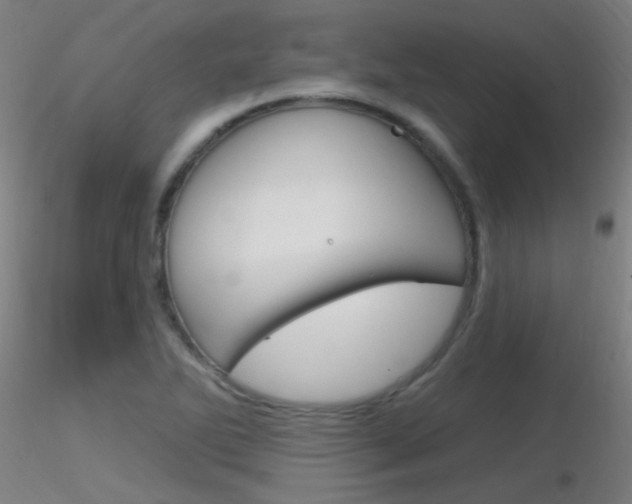 X0000116791270200912181045