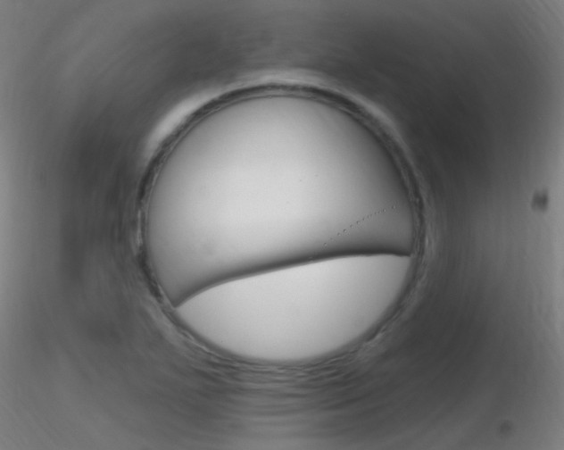 X0000116791271200912181045