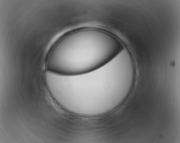 X0000116791272200912181045
