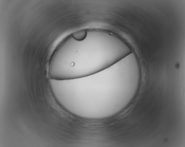 X0000116791275200912181045