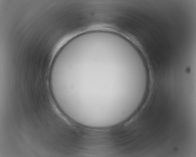 X0000116791277200912181045